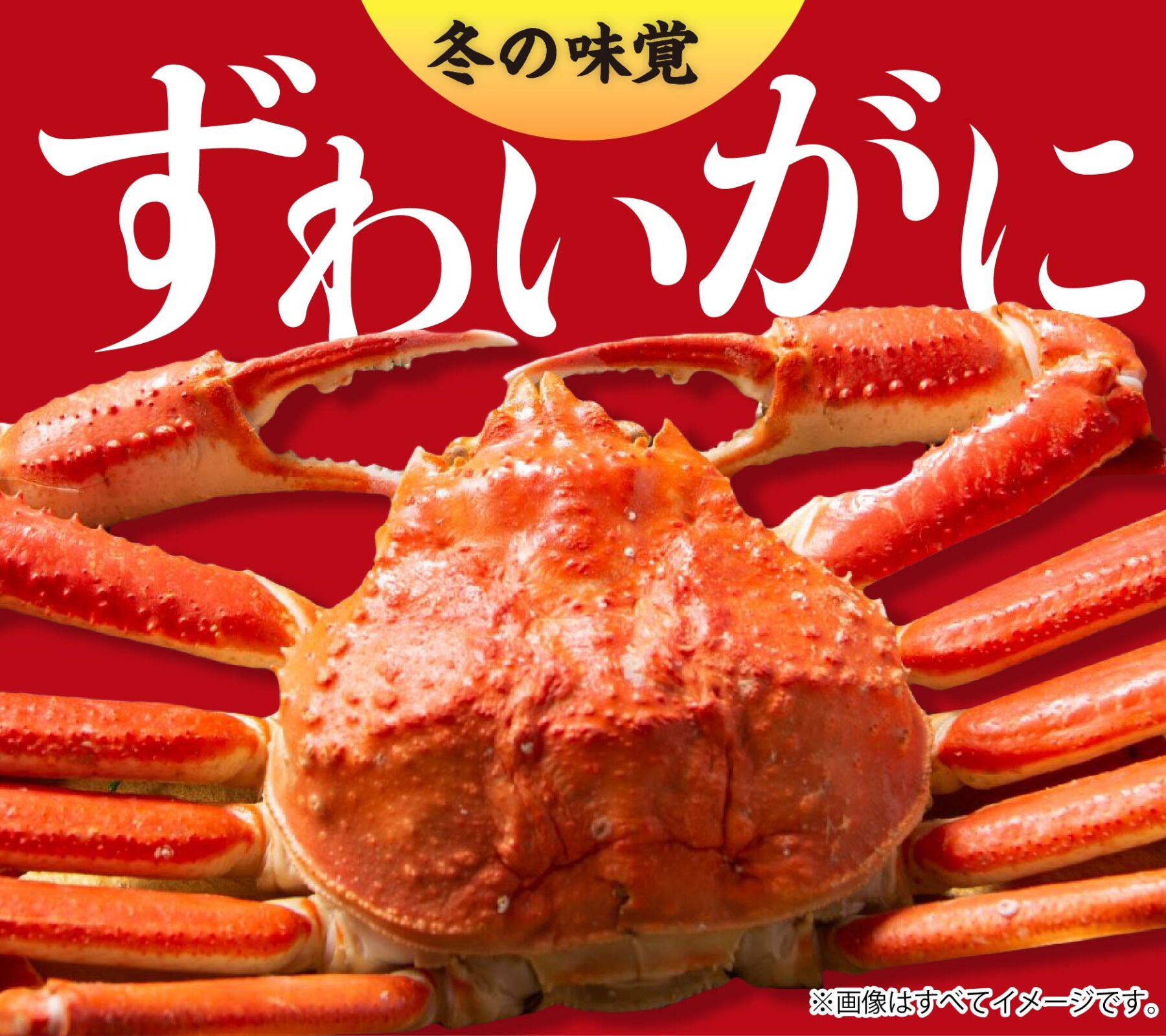 【磐田・袋井・掛川出発】🦀若狭ジャンボずわいがに&カニづくし 担当スタッフのイチオシ出発地