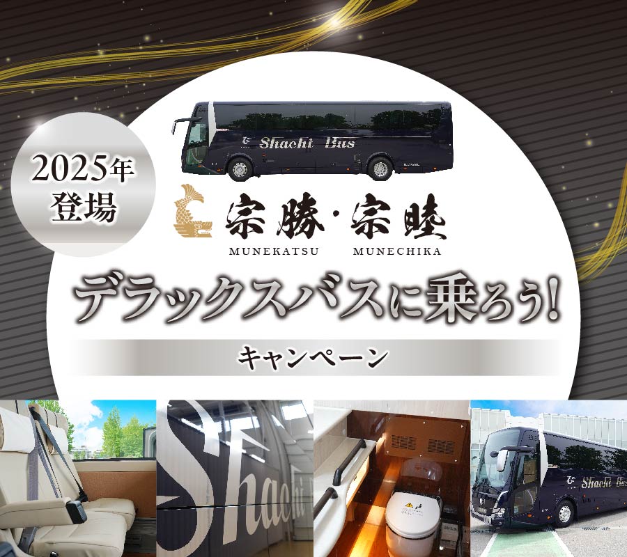 デラックスバスの快適な旅をお得に♪デラックスバスに乗ろう